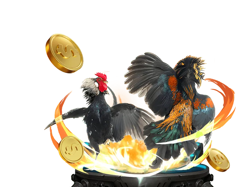 Các chiến lược thắng máy đánh bạc hiệu quả